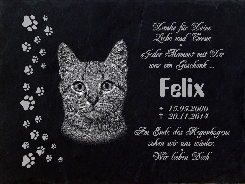 Grabstein Tiergrabstein Gedenkstein Katzen Katze018 Fotogravur 50