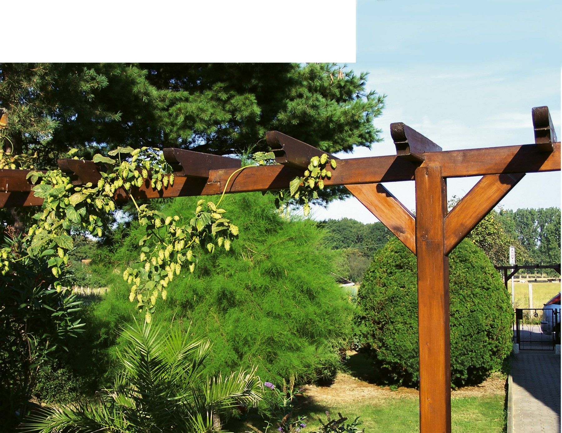 Pergola Reiter 6 Stück 4,5cmx9cmx60cm Ausspar.4cm druckimpräg