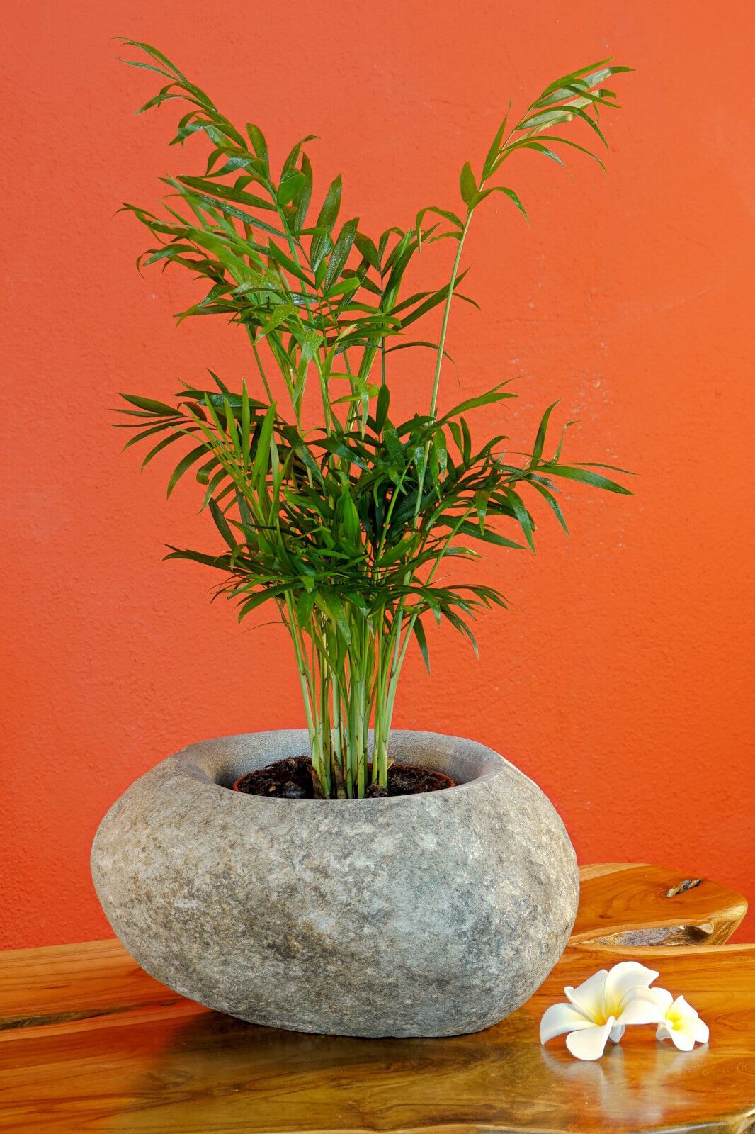 Übertopf Stein Topf Pflanztopf Grau Blumenübertopf Blumentopf