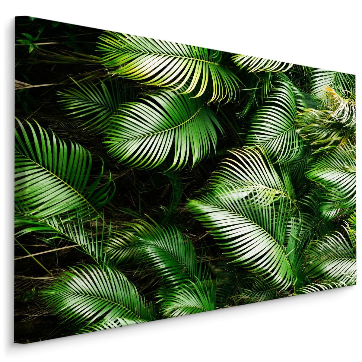 Tableau sur toile, Feuilles de palmiers 3D texture béton