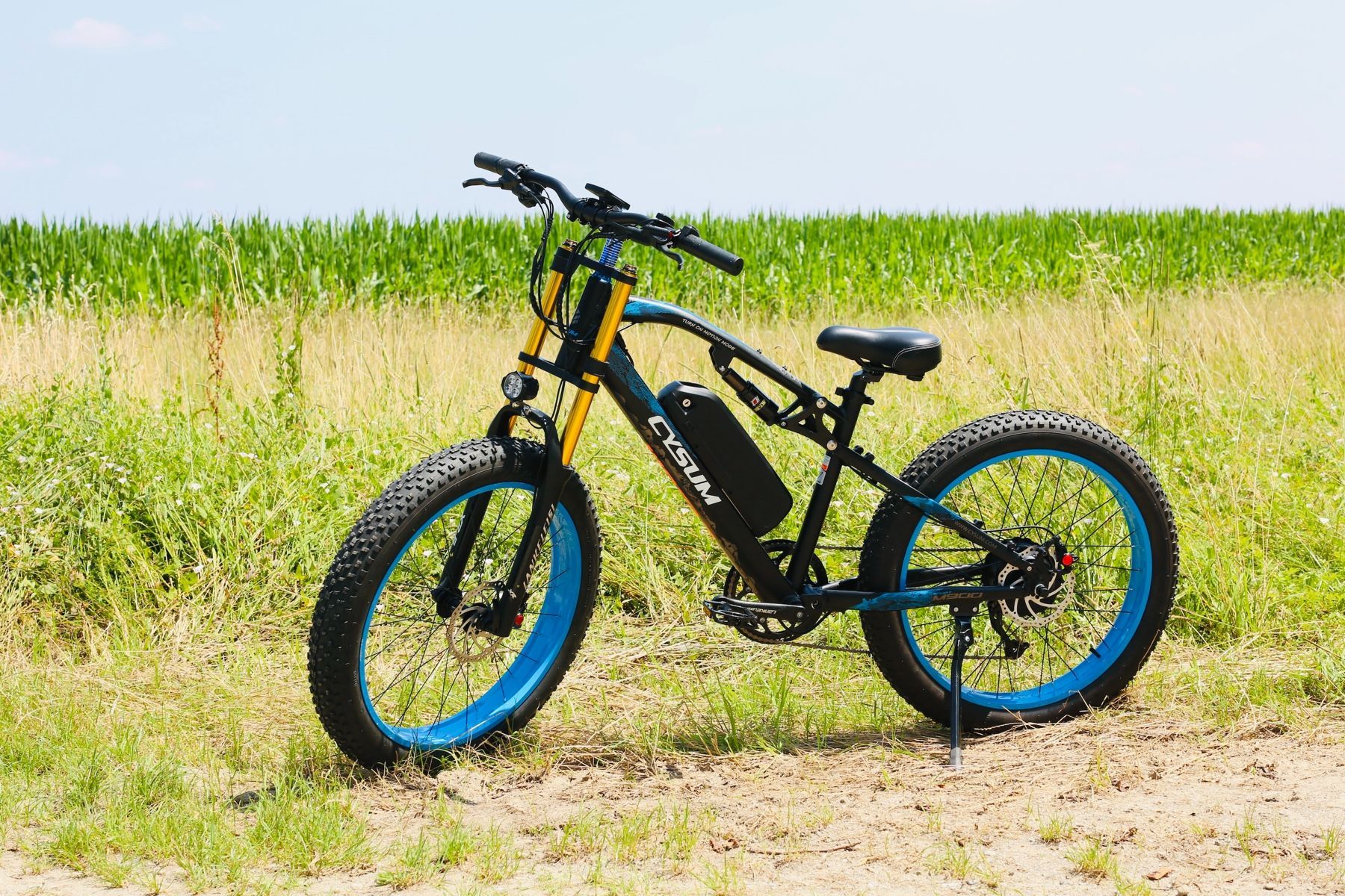 26 Zoll Doppelbrücken e Fatbike e-Bike 1000W Motor vollgefedert ebike eFatbike kaufen bei Hood.de