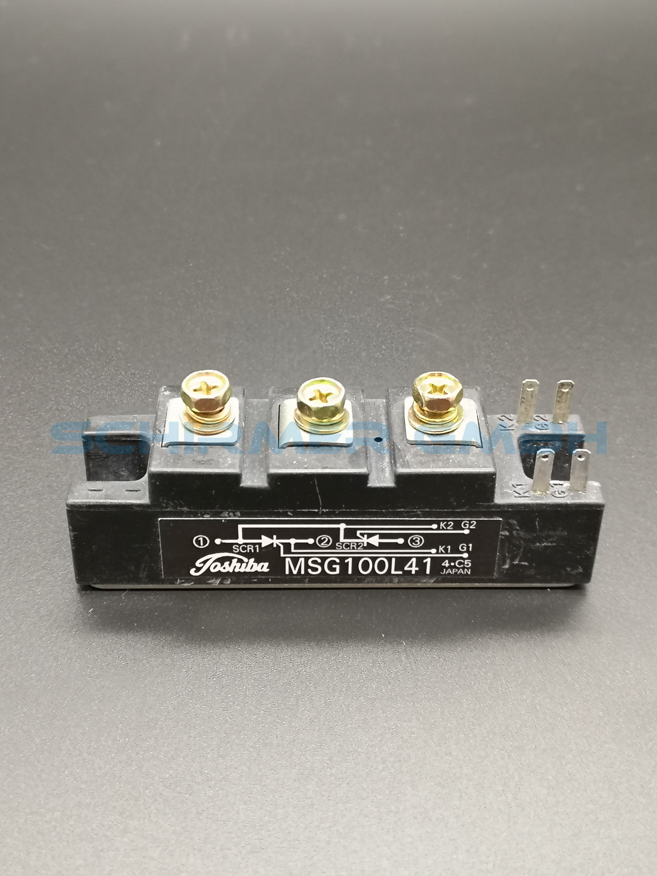 MSG100L41