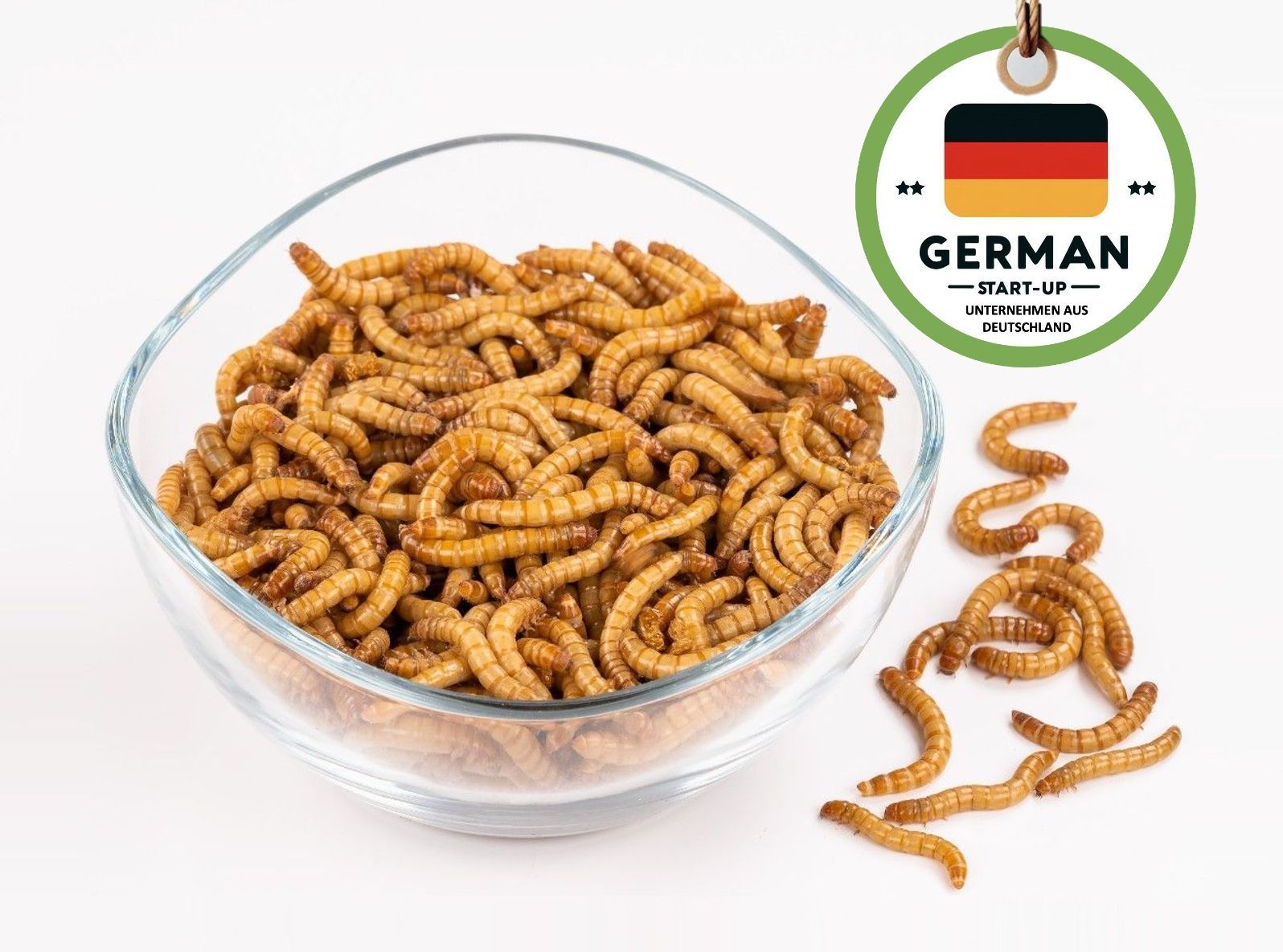 mehlw-rmer-lebend-1-kg-extra-frisch-und-schnell-top-qualit-t