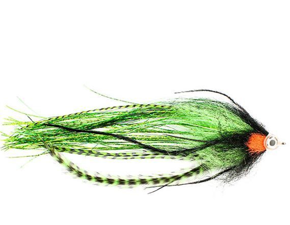 Hechtstreamer