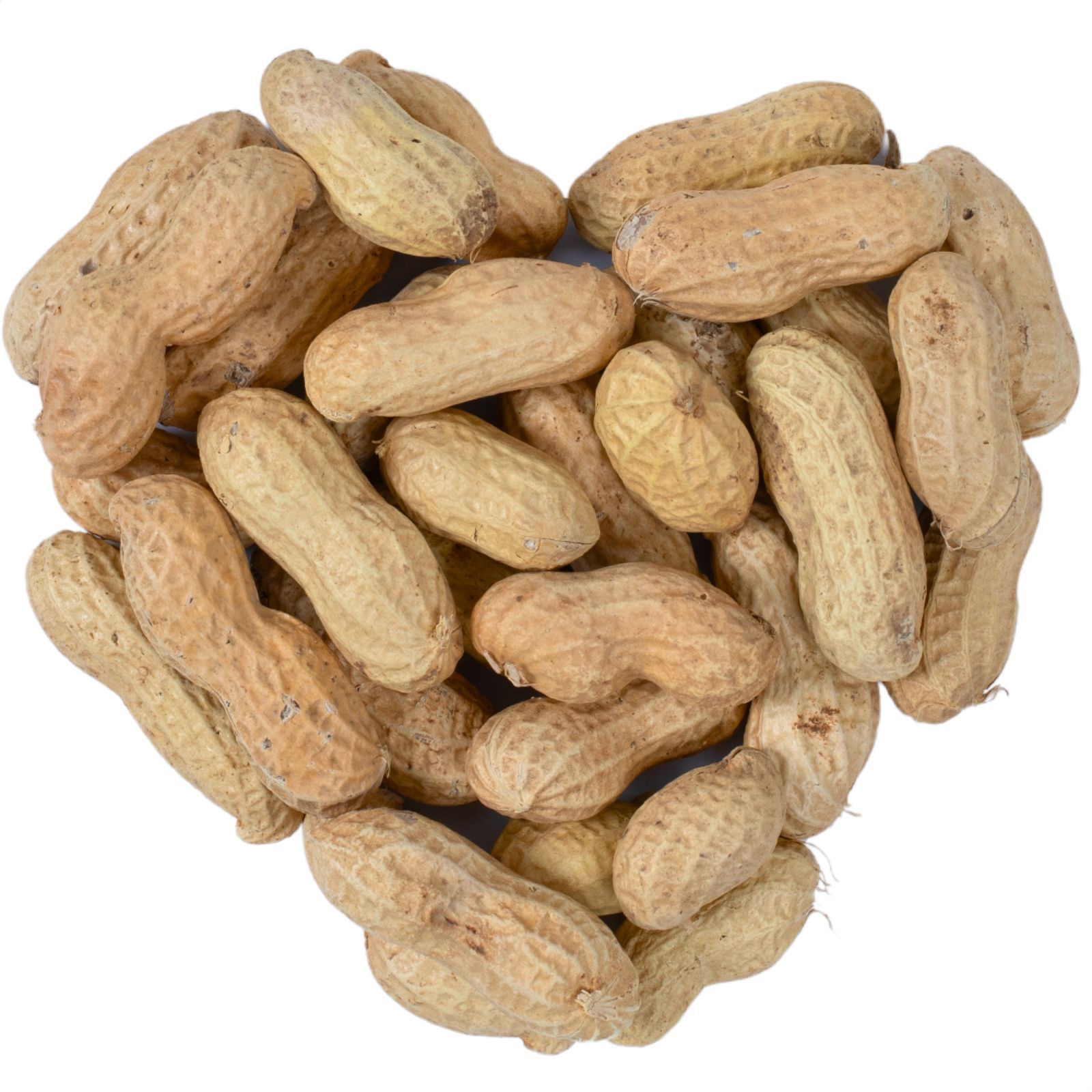 Graines De Cacahuètes En Gousses 10 Kg - Nourriture Oiseaux Sauvages - Naturel, Riche En Graisses Et Protéines
