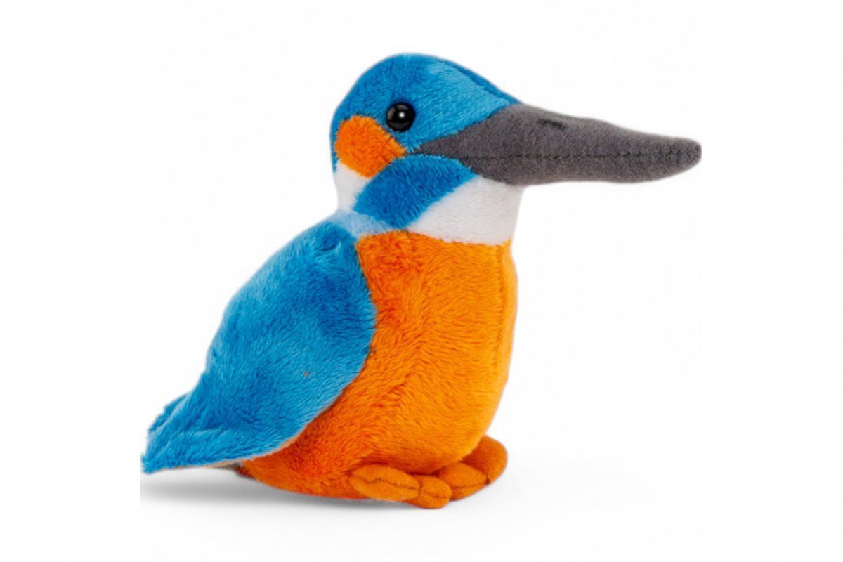 Plésch Eisvogel
