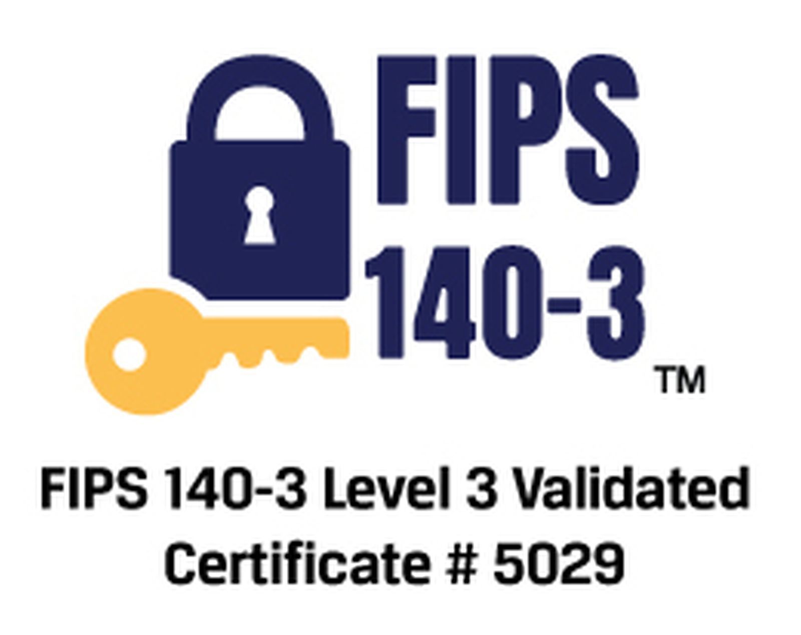 Kingston Ironkey D500s 256 Gb, Usb-Stick