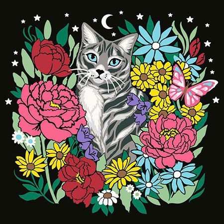Pixie Cold: Katze