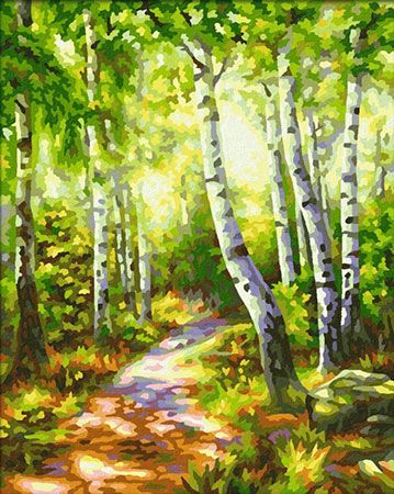 Birkenwäldchen