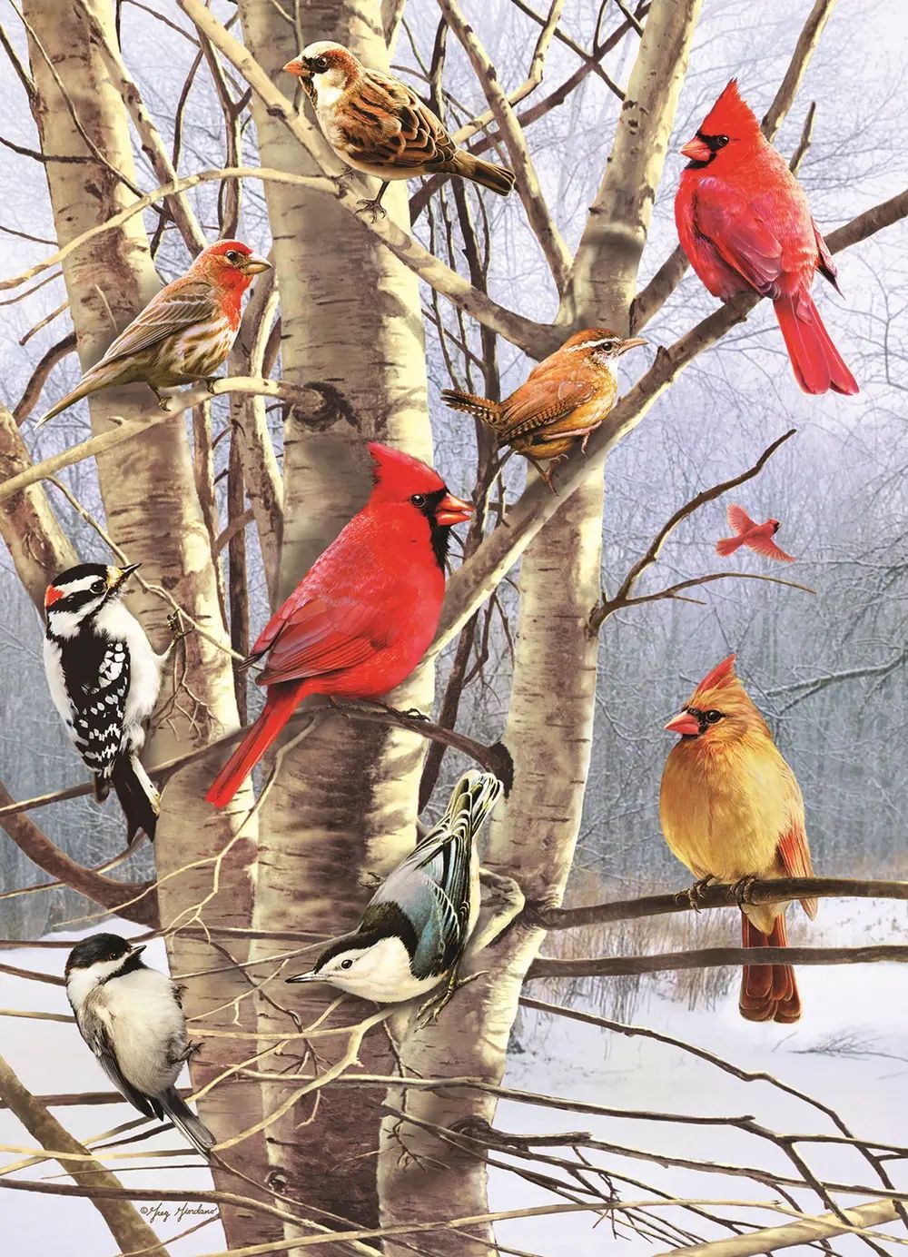 Wintervögel