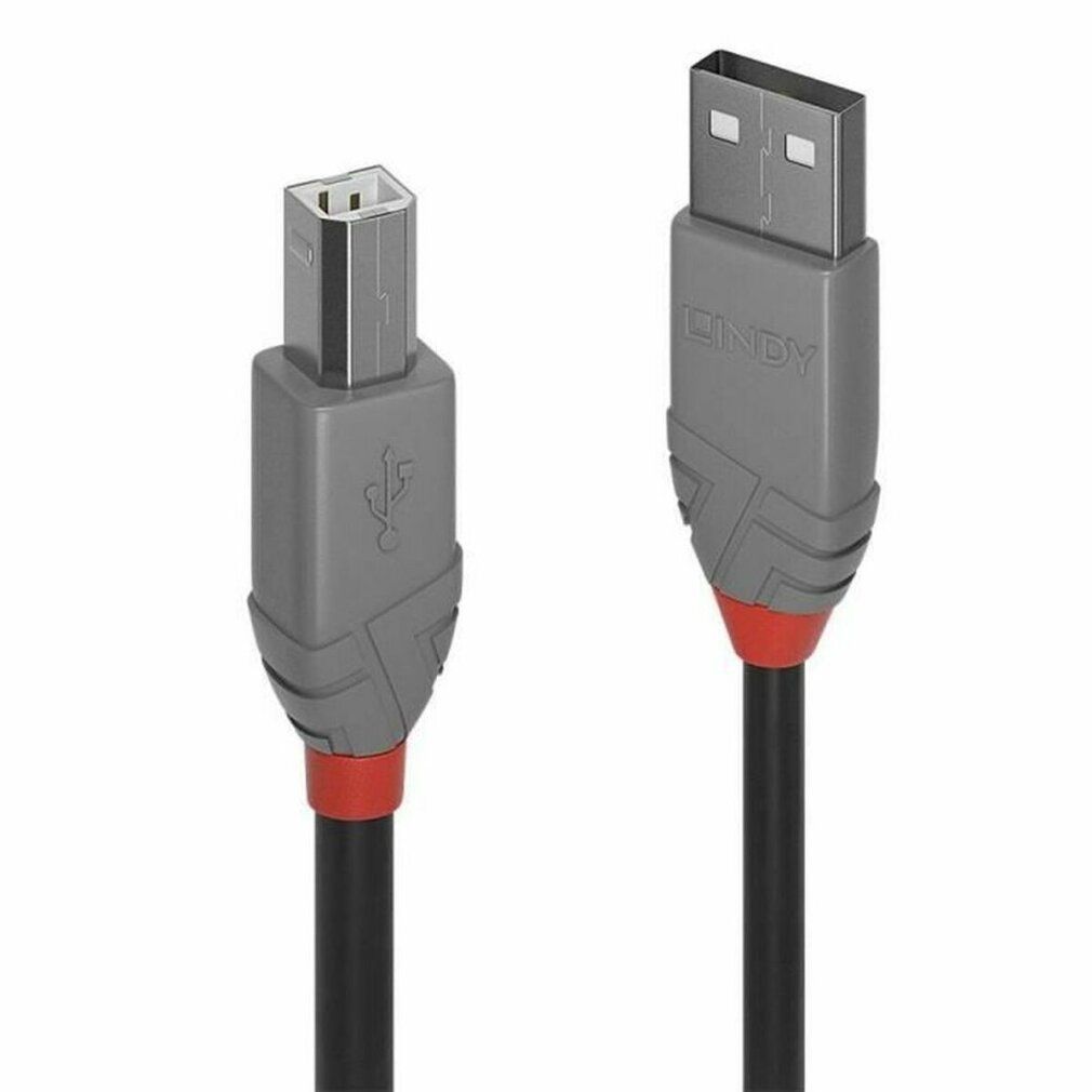 Lindy 3m USB 2.0 Type A to B Cable, Anthra Line