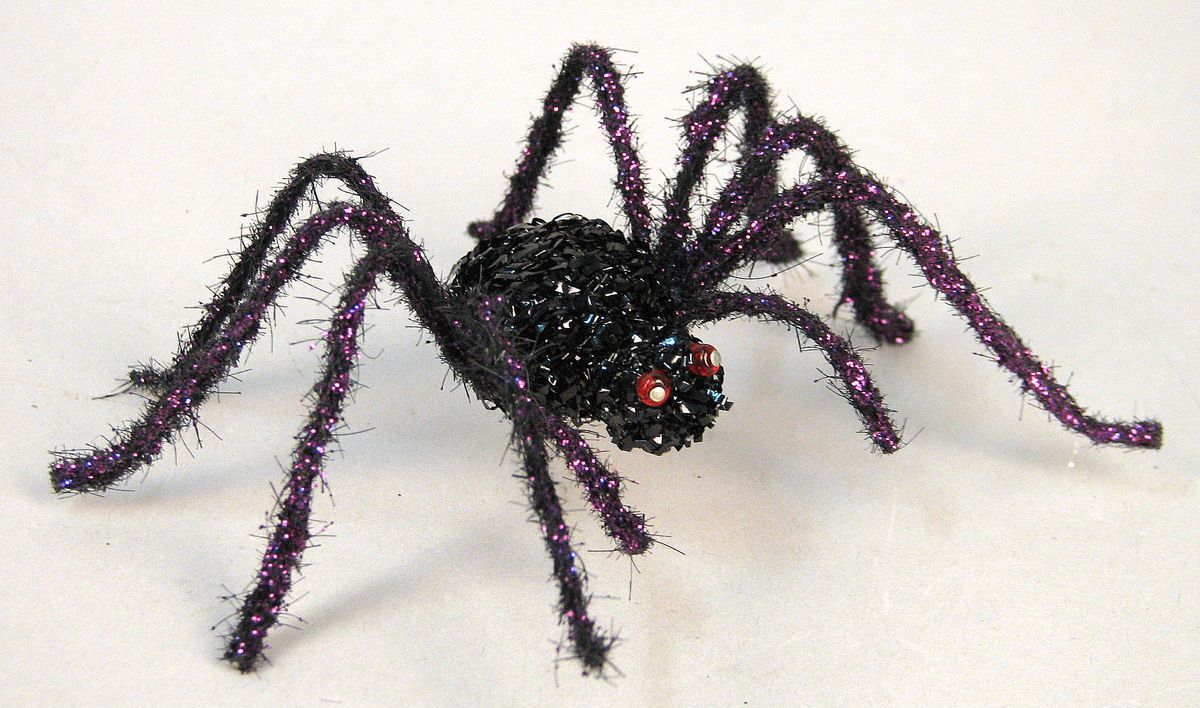 SPINNE