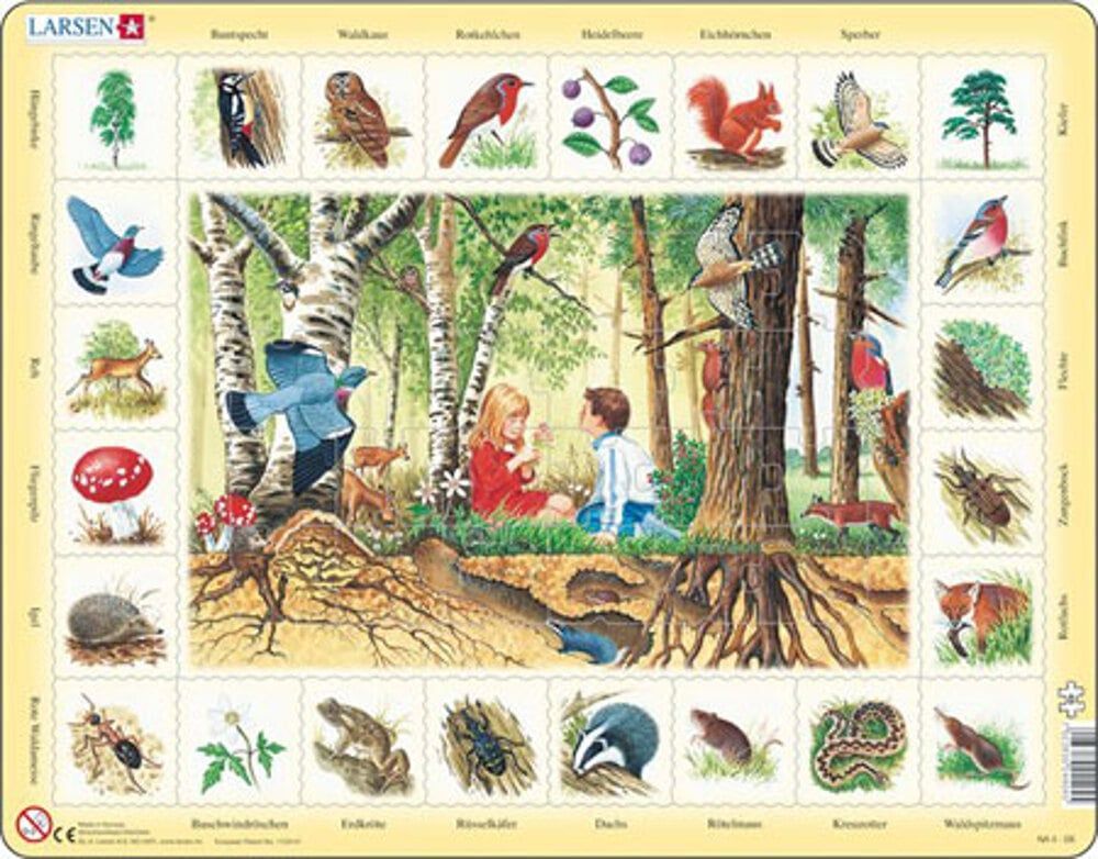 Im Wald