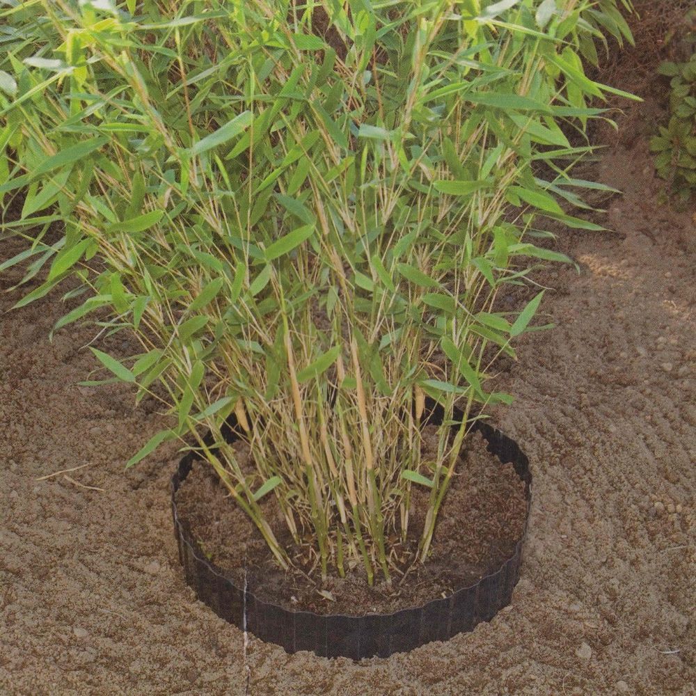 1m Wurzelsperre 80cm 4,90€/ m Rhizomsperre Bambus Wurzel Blocker Sperre