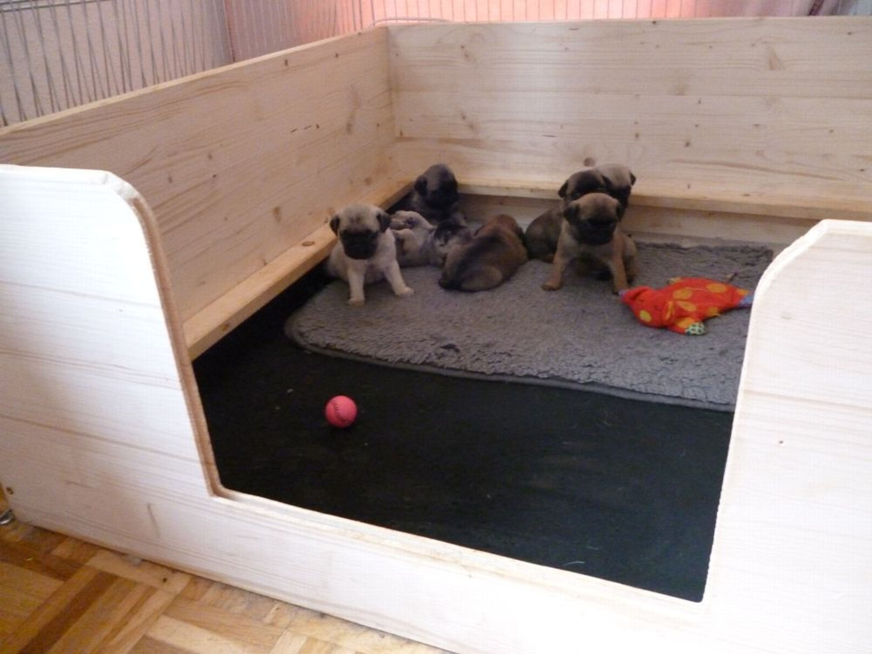 Wurfbox Welpenkiste Box Auslauf für Hunde Katzen Tiere von Hundeland