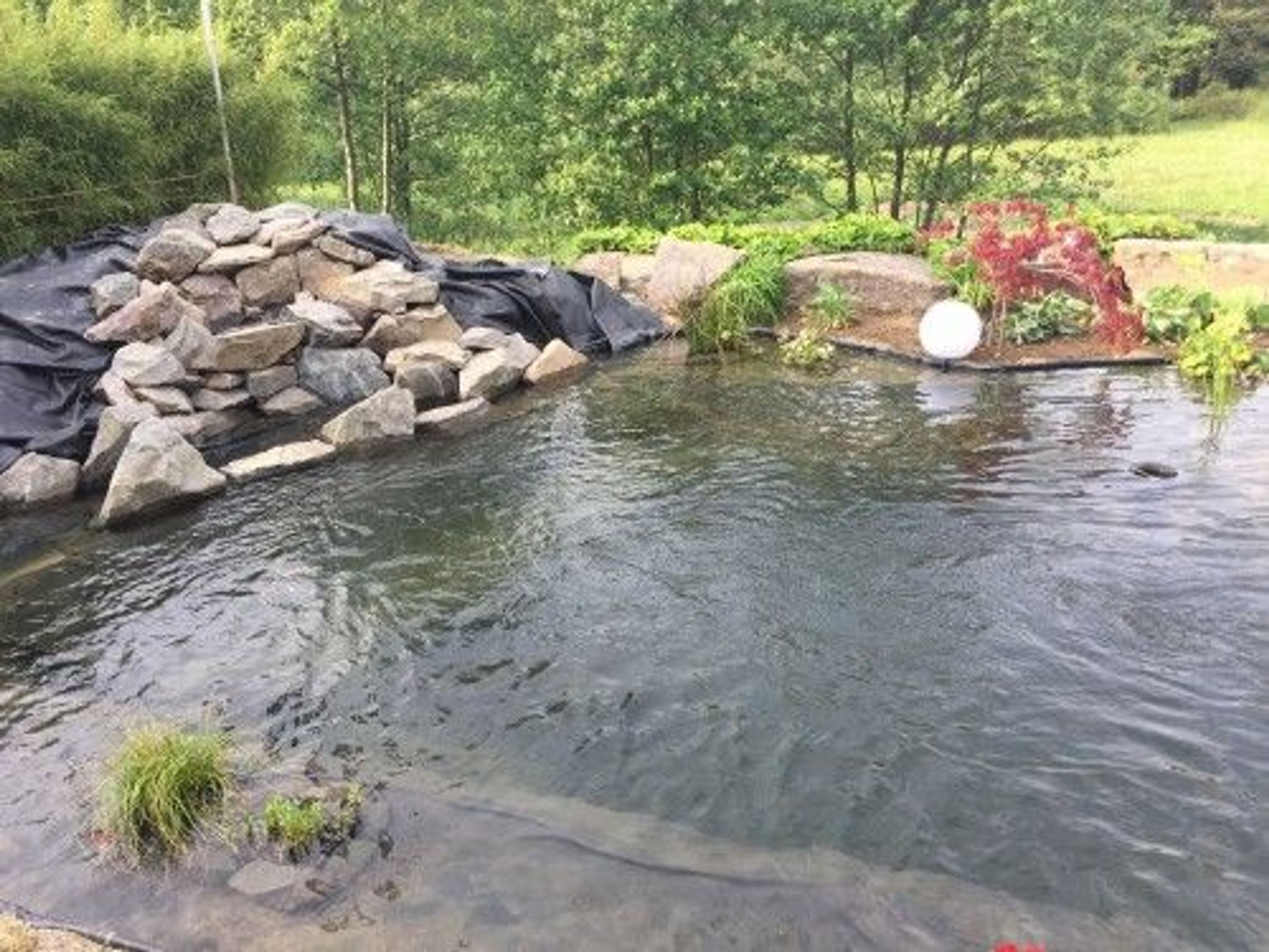Teichfolie PVC 7m x 8m 0,5mm schwarz Folie für den Gartenteich kaufen