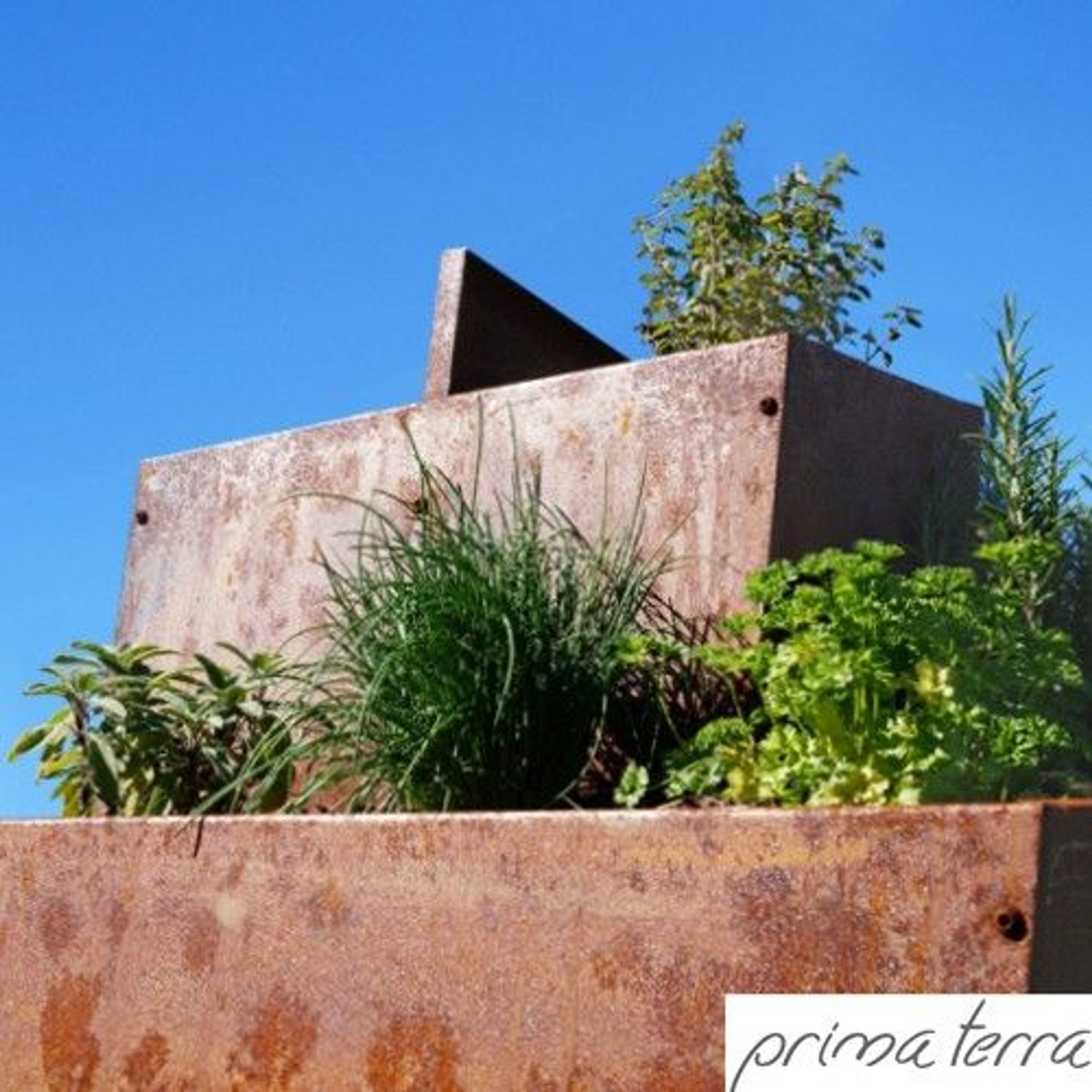 Kräuterschnecke Edelrost eckig kaufen bei Hood.de