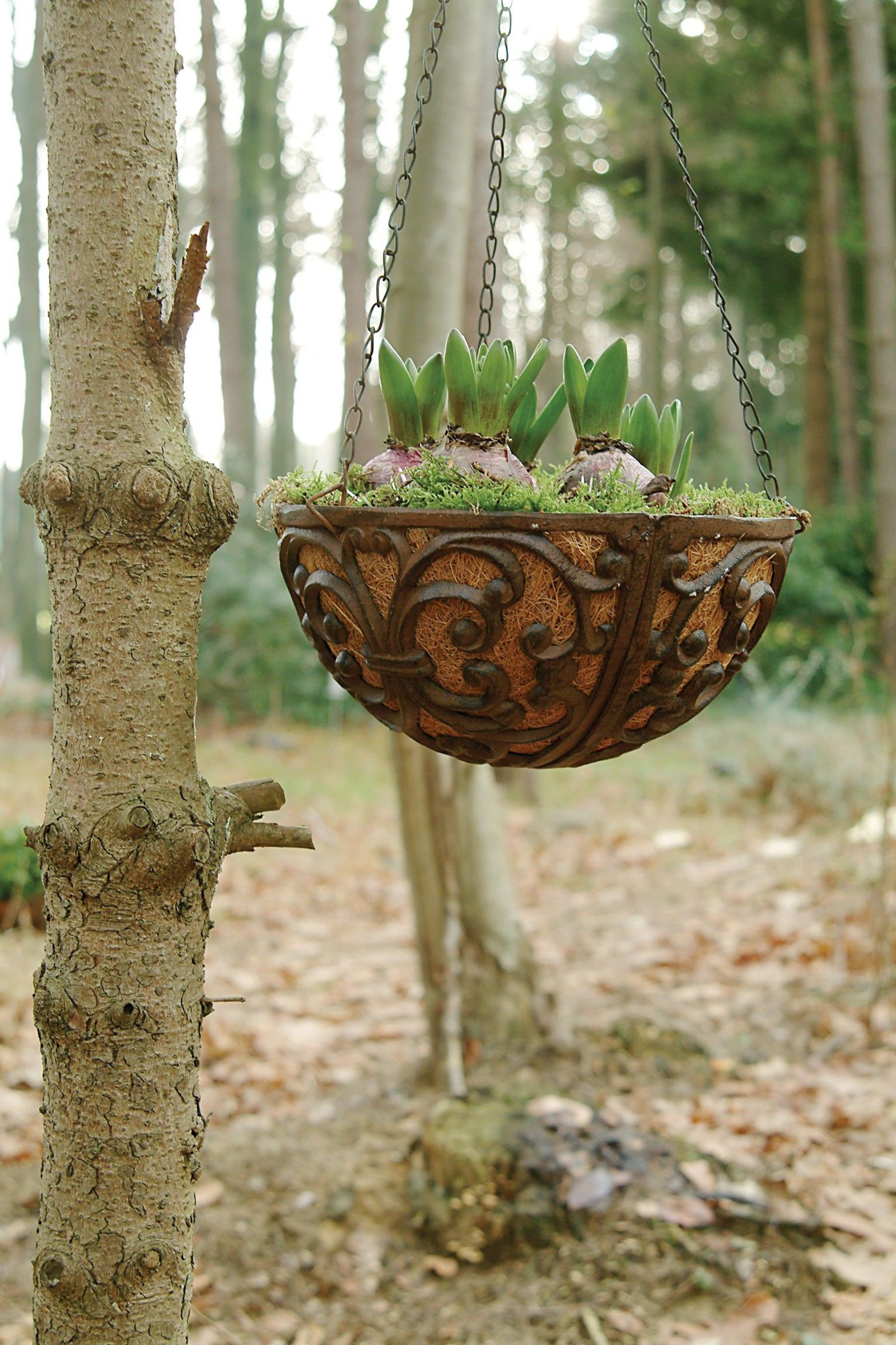 blumenampel wandhalterung