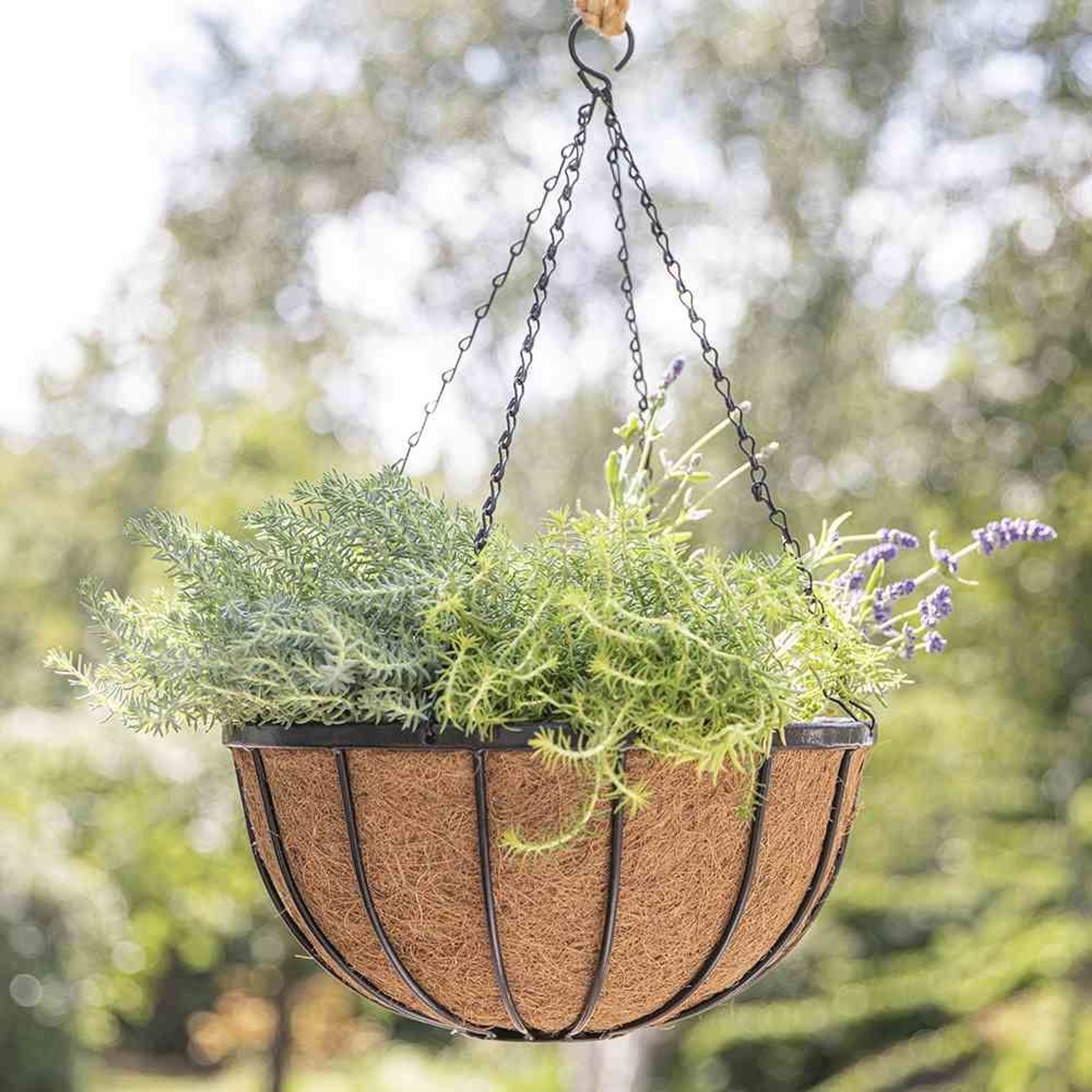 blumenampel kokoseinlage