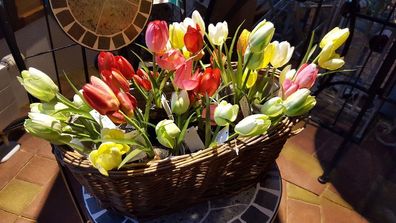 Kunstblume Deko-Blume Tulpe mit Erde Blumen Imitat