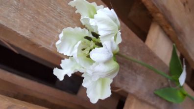 KunstblumeTulpe Frühjahr Deko Blume grün/ weiß Blumen Imitat