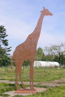 Giraffe Afrika 200cm Edelrost Rost Metall Figur Rostfiguren Rostfigur Tier