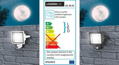 Aussenlampe LivranoLux Aussenleuchte LED-Aussenstrahler Strahler 30W + Bewegungsmelde