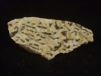 Schriftgranit (Feldspat, Rauchquarz) Anschliff -Mineralien-Edelsteine-Anschliffe
