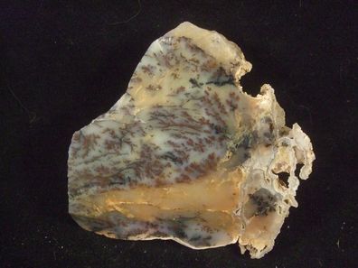 Dendriten - Opal CSSR Anschliff -Mineralien-Edelsteine-Anschliffe-Heilsteine-
