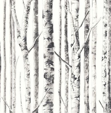 Tapete, Designtapete, Luxus, metallic, Schimmer, Birken, Schildplatt, Schiefer