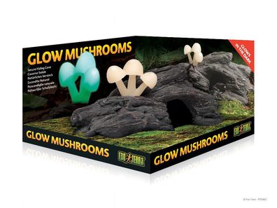Exo Terra PT2843 Exo Terra Höhle mit leuchtenden Pilzen - Natürliches Versteck …
