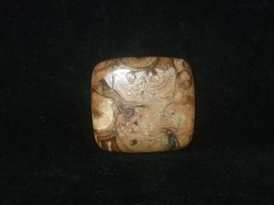 versteinertes Holz Thüringen Cabochon -Mineralien-Heilsteine-Edelsteine-Anschliffe