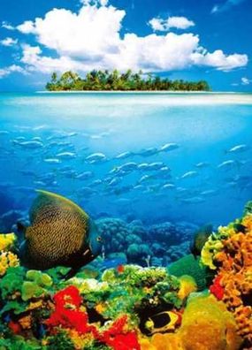 Fototapete Schatzinsel 183x254 cm, Insel Riff Fische Atoll Kindertapete Korallen