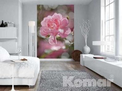 Fototapete Bouquet 184x254 cm rosa Blume Rose Blüte nachcolorierte Rosen moderne