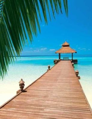 Fototapete Paradise BEACH 183x254 Strand Südsee Palmen Steg Seychellen Paradiso