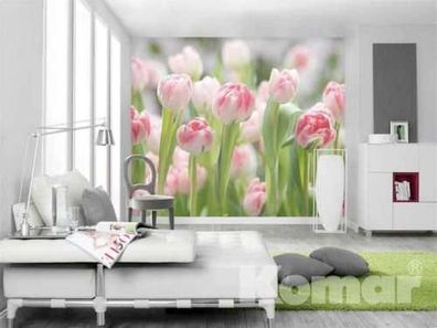 Fototapete SECRET GARDEN 368x254 cm weiß-rosa Tulpen grün Blumen Blüten Frühling