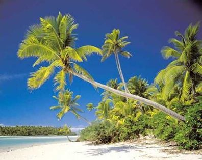 Fototapete COOK ISLAND 368x254 Palmenstrand Insel See Pazifik azurblaues Wasser