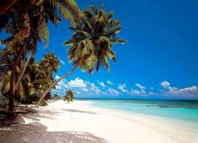 Fototapete Maledives 388x270 Strand Palmen Malediven Indischer Ozean Traumstrand