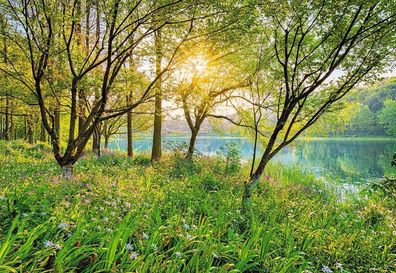 Fototapete National Geographic Springlake 368x254 See in der Frühlingssonne grün