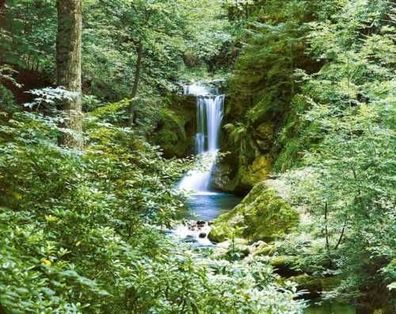 Fototapete Waterfall IN SPRING 366x254 Wald Wasserfall Bach Fluss Wasser Forest