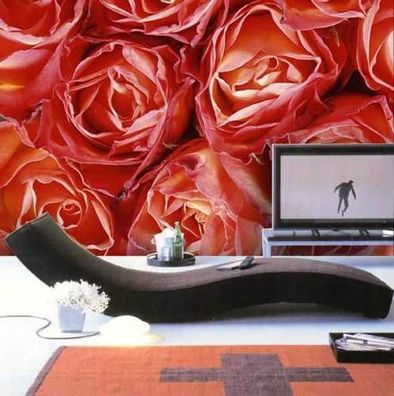 Fototapete rote Rosen 356x252 "Liebe" Roses orange romantische Postertapete red