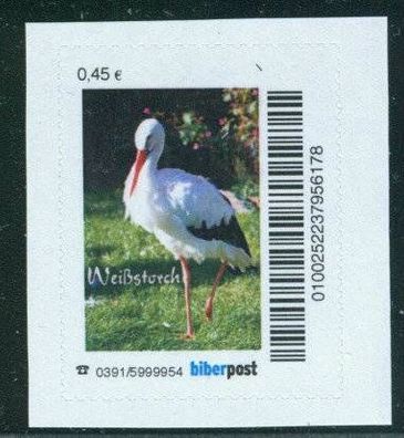biber post Weißstorch (45) h475