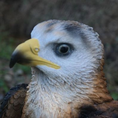 Adler Weißkopfadler auf Stamm Vogel Tierfigur Raubtier König Greifvogel