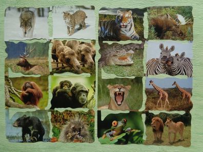 Mamelok England Scraps Glanzbilderbogen mlp 2105 2106 wilde Tiere