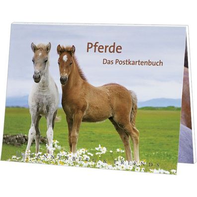Postkartenbuch Pferde Postkartenbücher Ansichtskarte Postkarte Pferd Pony neu