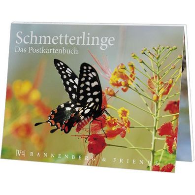 Postkartenbuch Schmetterlinge Postkartenbücher Ansichtskarte Postkarte Tier Falter