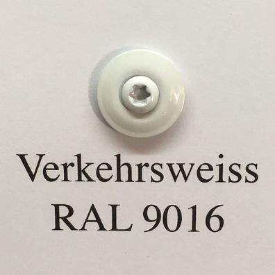 100 Edelstahl Spenglerschrauben 4,5x35mm 2-teilig 20mm Scheibe RAL 9016 weiß