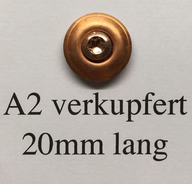 100 verkupferte Edelstahl Spenglerschrauben 4,5x20mm 2-teilig 20mm Scheibe