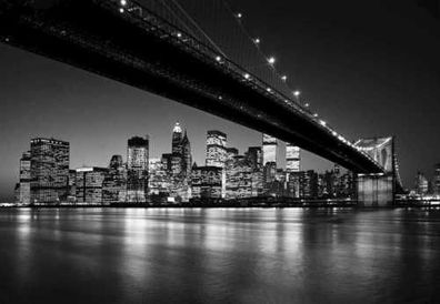 Fototapete LOWER Brooklyn BRIDGE 366x254 cm New York City Manhattan Hudson River