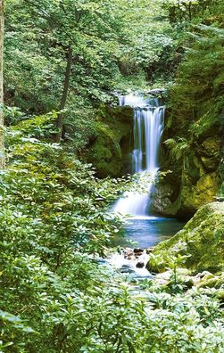 Fototapete Waterfall 183x254 Wasserfall Wald Bäume grün Natur Wasser Bach Wild